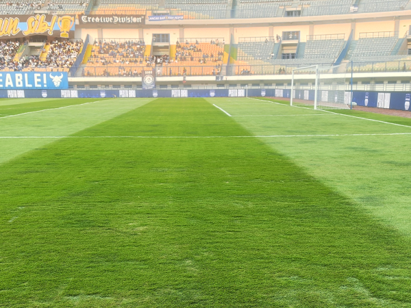 Persib Pastikan Lapangan Stadion GBLA Sudah Layak Dipakai